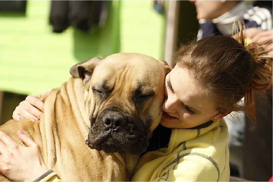 Qu'est-ce qu'un comportementaliste canin?