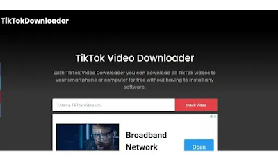 TikTokDownloader