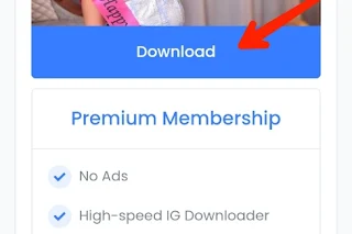 instagram video download by link