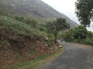 The beautiful tourist mountain walk along the paved road and Shola forest.