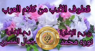 صورة