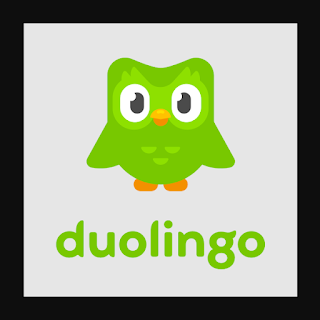 Tải ứng dụng học ngoại ngữ hiệu quả duolingo mới nhất 2021