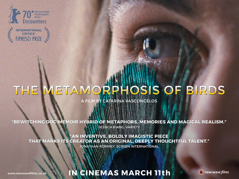 The Metamorphosis of Birds poster