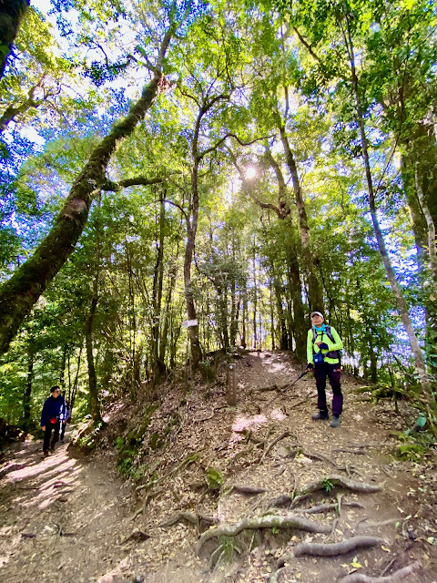 稍來山--往30.5K岔路