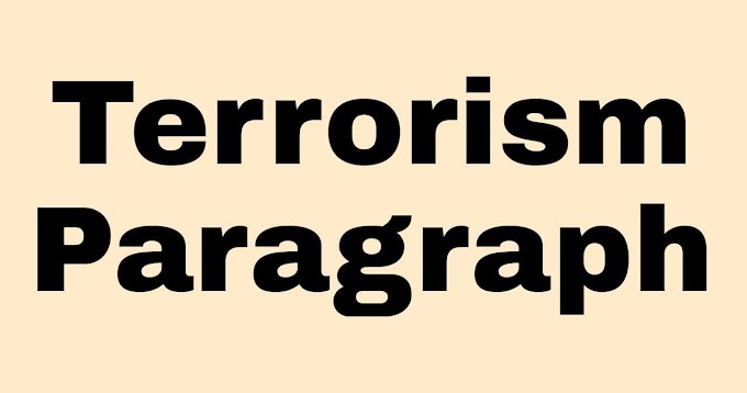 Terrorism Paragraph Writing