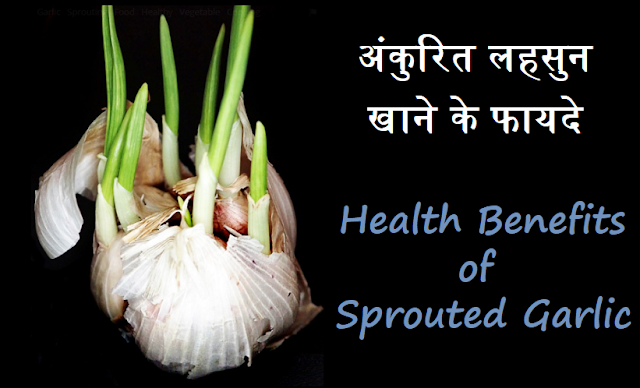 Health Benefits of Sprouted Garlic