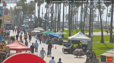 Venice Beach Live