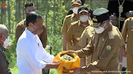 Gubernur Aceh Tabur Tanah Iskandar Muda dan Percik Air Masjid Raya di IKN  