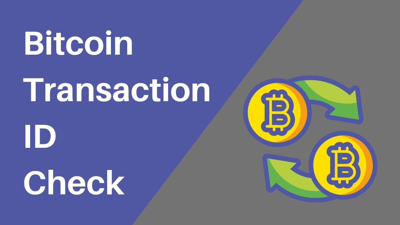 check bitcoin transaction id