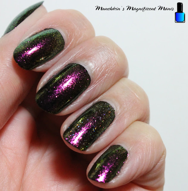 Holo Taco Polar Princess over black