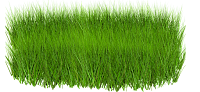 Густая невысокая растущая кружком трава.Клипарт.