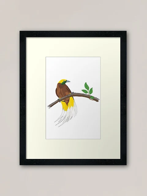 Male Lesser Birds of Paradise print in Redbubble shop