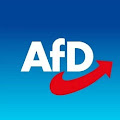 AfD-Fansite-Projekt