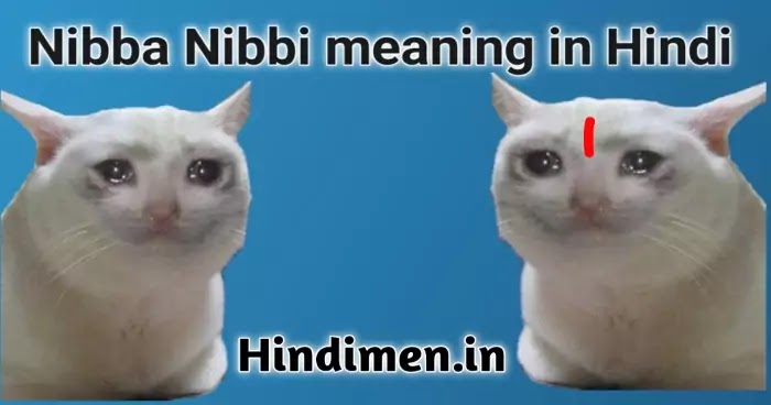 nibba and nibbi meaning in hindi, निब्बा मीनिंग इन हिंदी, chapri nibba nibbi memes shayari