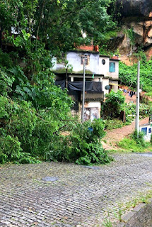 Queda de árvore na Vila Muqui