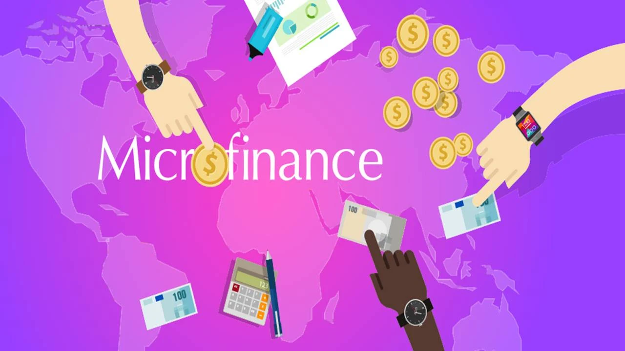 Différents Types de Microfinance au Cameroun PDF (Liste/Catégories)