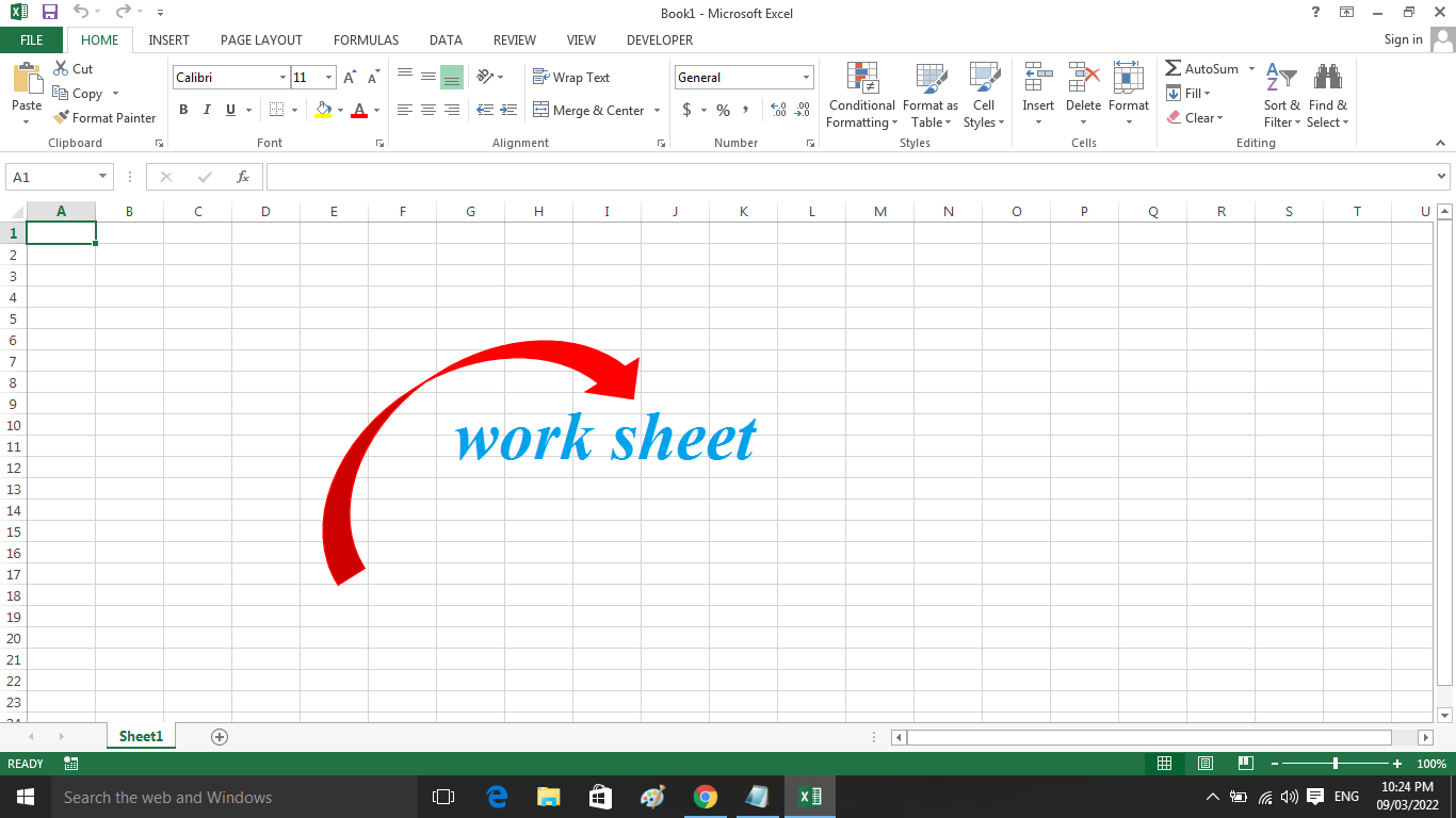 What is worksheet of Excel