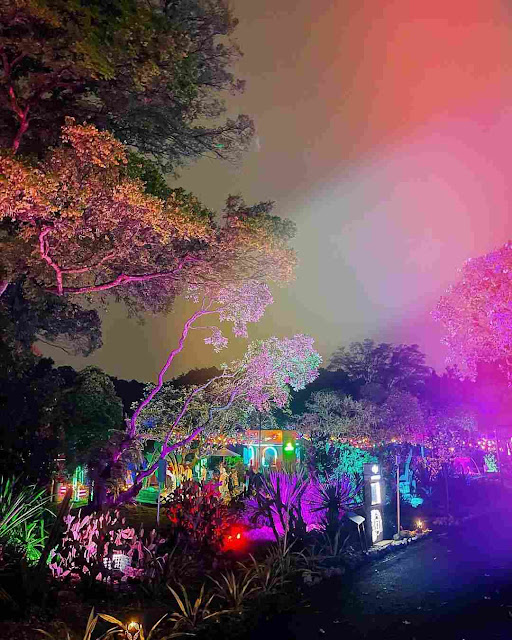 Harga Tiket Masuk dan Lokasi Glow Kebun Raya Bogor