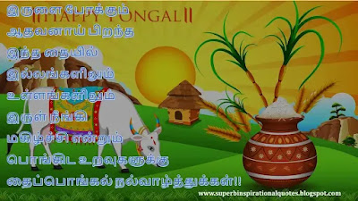 Pongal wishes in Tamil 16