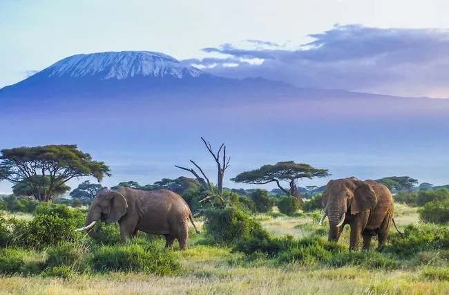 Amboseli National Park