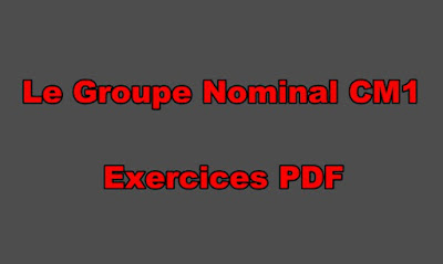 Le Groupe Nominal CM1 Exercices PDF