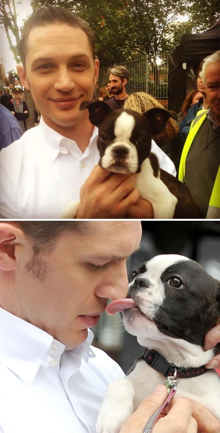 Heartwarming Photos Of Tom Hardy With Puppies Are Going Viral, And They’ll Melt Your Heart