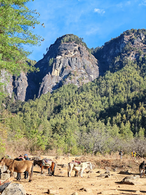 Tiger's_Nest_Paro_Taktsang_Bhutan