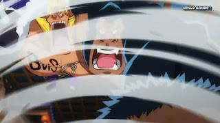 One Piece 第1005話 菊之丞の左腕 ネタバレ