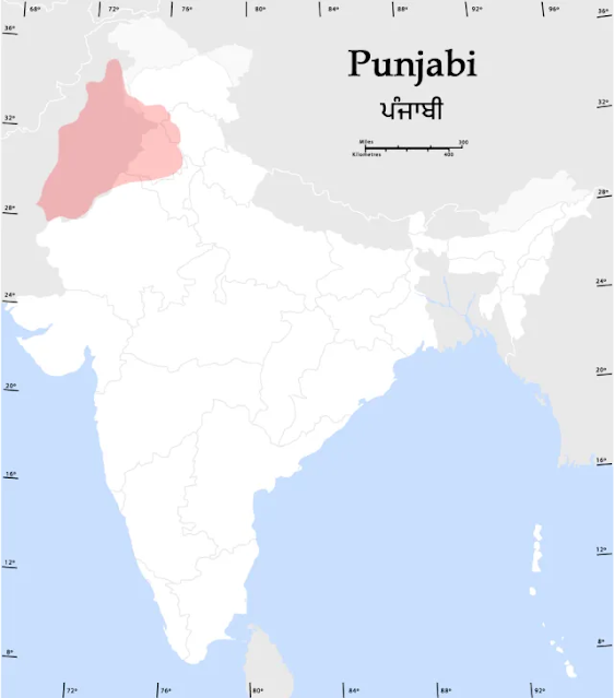 22+ Amazing Facts About Punjabi Language