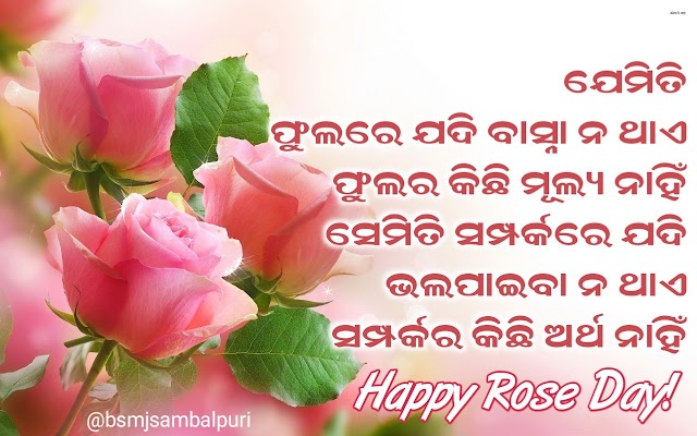 Happy Rose Day 🌹 Odia Photo , Shayari, Wishes - 7th Feb
