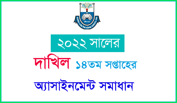 Dakhil Assignment 14th Week 2022 All Subject