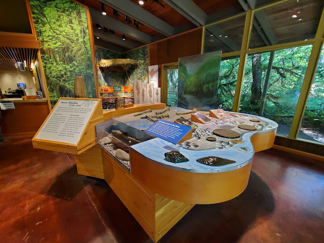 visitor center hoh rainforest olympic national park seattle washington