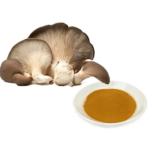 Oyster  mushroom extract