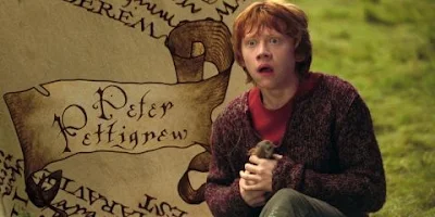 Harry Potter: Os buracos na trama de Fred e Jorge nunca notando Pedro Pettigrew