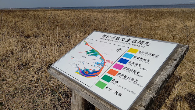 北海道 道東 野付半島 トドワラ