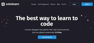 solo learn homepage