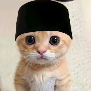 Andhika