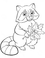 Raccoon holding leaves with nuts coloring page