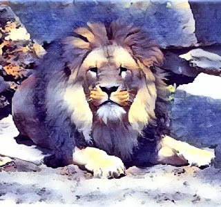 lion painting images