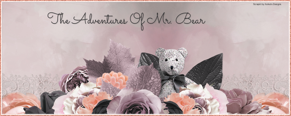 The Adventures Of Mr. Bear