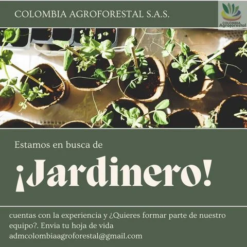 📂 Empleo en Cali HOY como Jardinero 💼 |▷ #Cali #SiHayEmpleo #Empleo