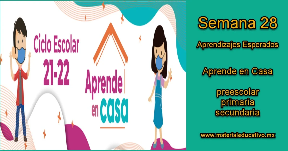 📖 Semana 28 - Aprende en Casa SEP Aprendizajes Esperados ✔️