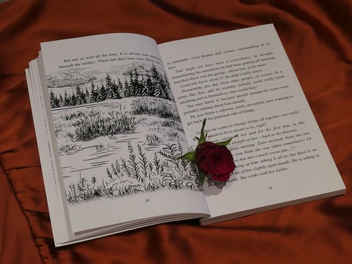 Harrowing Roses illustrations graphic