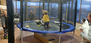 Trampolining with the neighbours