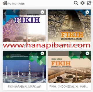 www.hanapibani.com