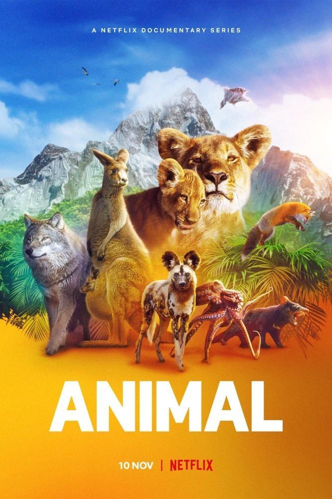 Animal Temporada 2 Completa 720p Latino-Ingles