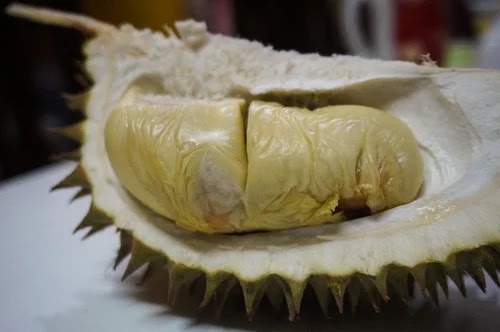 beli durian