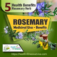 Rosemary-medicinal-uses-oil-healthnfitnessadvise-com