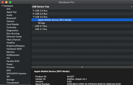 تُظهر معلومات النظام جهاز Mac متصل بالتمهيد boot في DFU Mode.