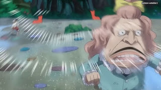 ワンピースアニメ WCI編 797話 パウンド Pound | ONE PIECE Episode 797